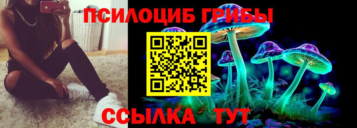 Псилоцибиновые грибы GOLDEN TEACHER  Вход с VPN  купить   Псилоцибиновые грибы GOLDEN TEACHER  Гулькевичи 