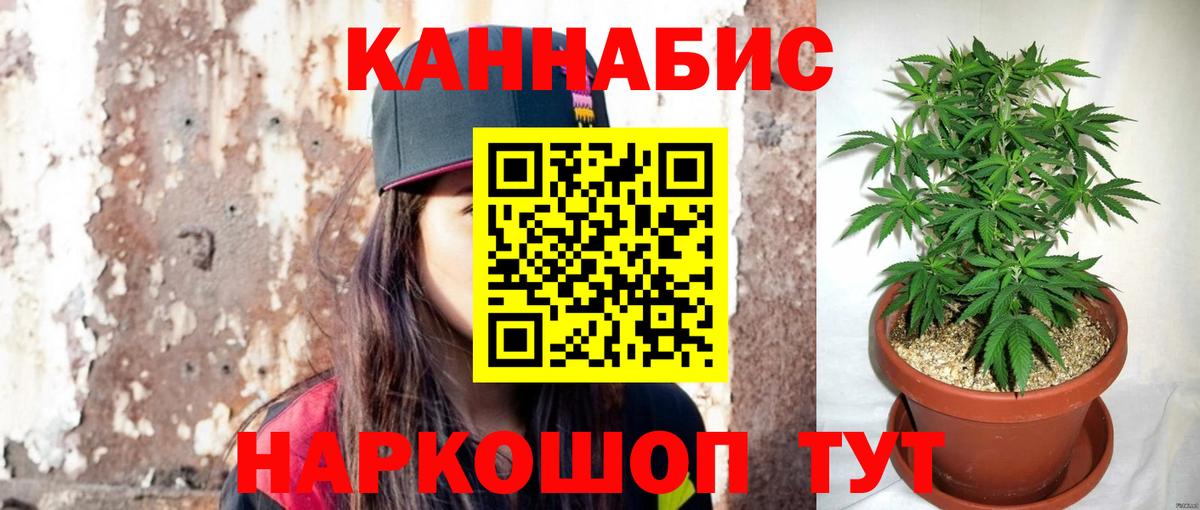 Каннабис семена Гулькевичи